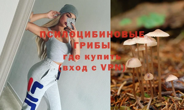 метамфетамин Алексин