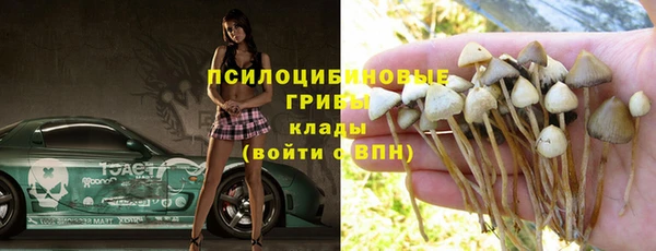 прущая мука Алзамай