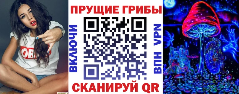 omg вход Камбарка Галлюциногенные грибы ЛСД
